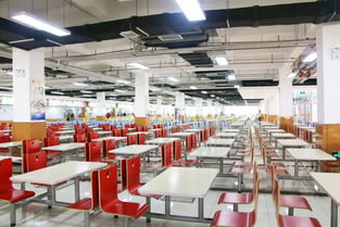 筑牢校园食安防线 打造健康成长环境——保定市省级校园食品安全标准食堂观摩培训会在长城学校成功举办